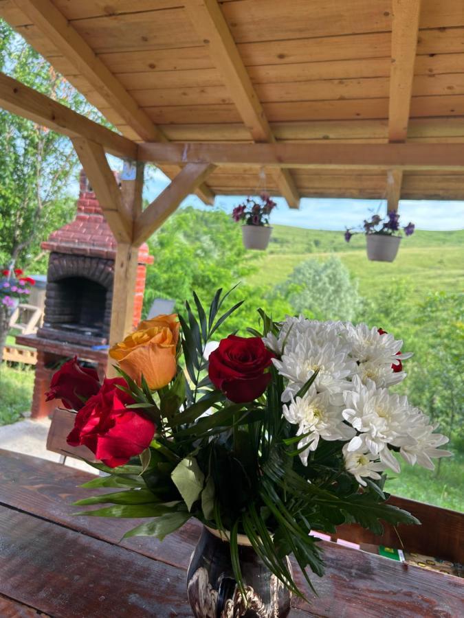 Hébergement de vacances Casa Eden Fit *