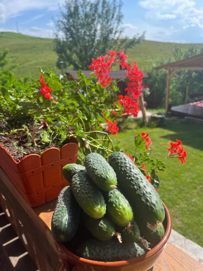 Casa Eden Fit * Faget (Prahova)