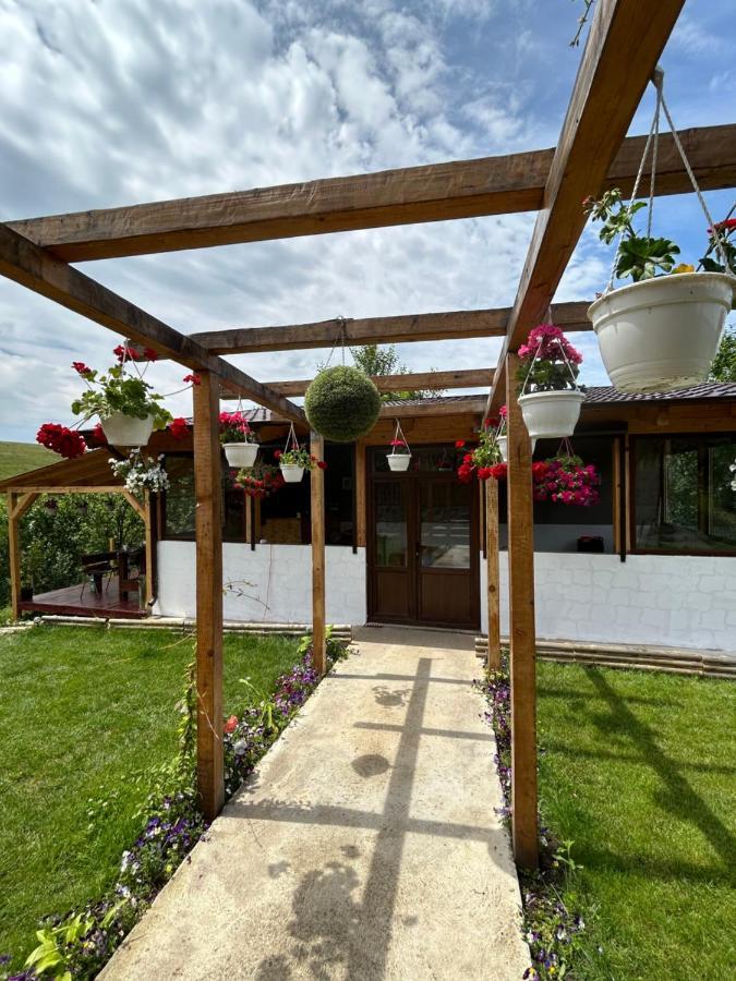 Casa Eden Fit Hébergement de vacances Faget (Prahova)