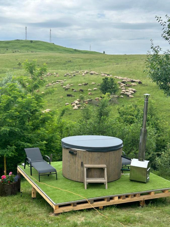 Hébergement de vacances Casa Eden Fit *