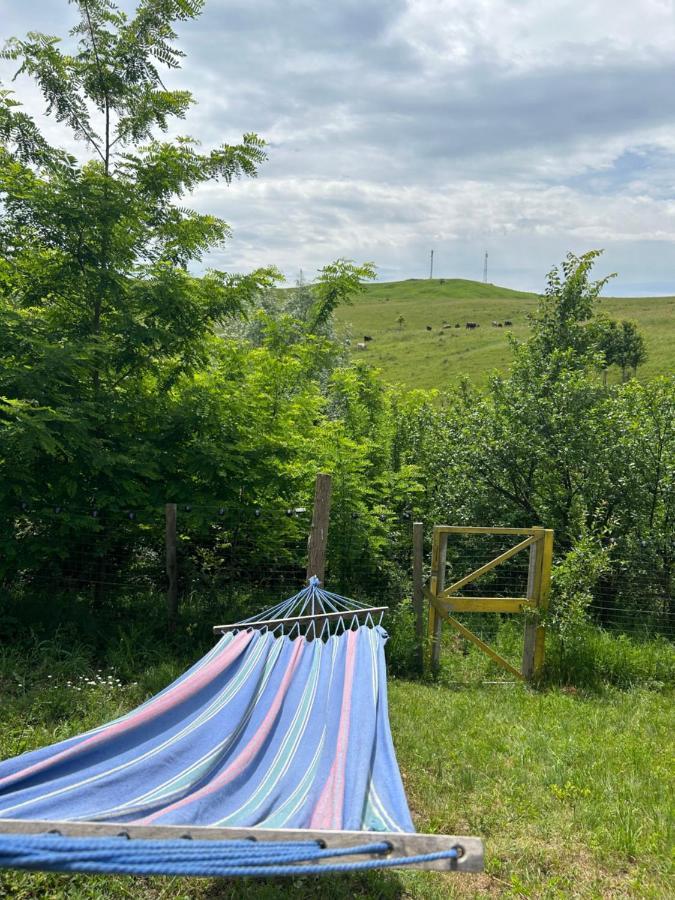 Hébergement de vacances Casa Eden Fit Faget (Prahova)